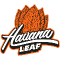 Havana Leaf